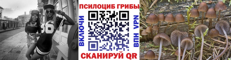где найти наркотики Стрежевой Псилоцибиновые грибы MAGIC MUSHROOMS