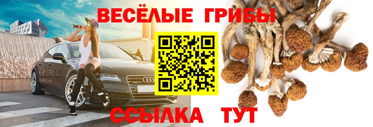 Галлюциногенные грибы Psilocybine cubensis  Вход с VPN  Стрежевой  Псилоцибиновые грибы Magic Shrooms 